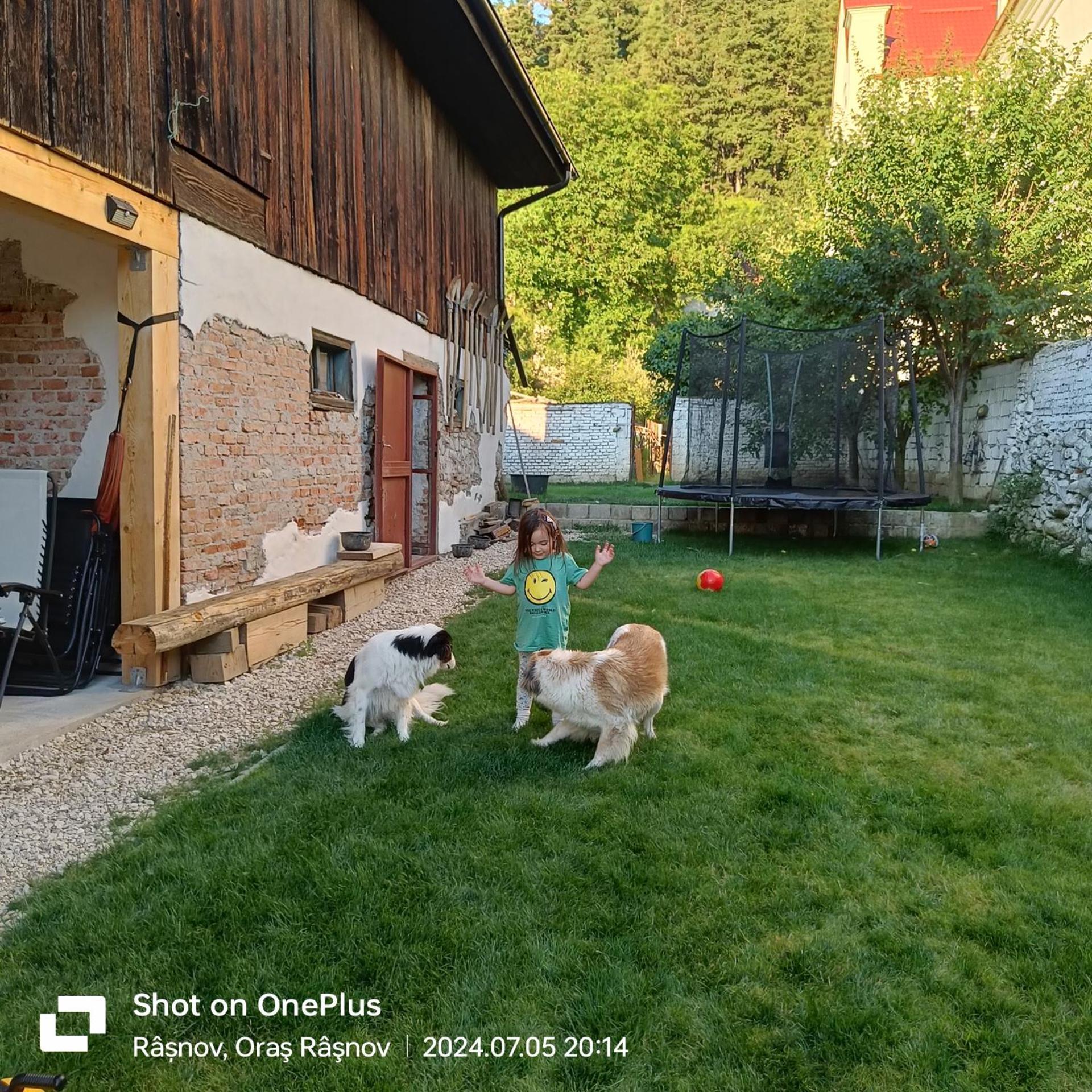 ホテル Imperfect House Rîşnov エクステリア 写真